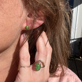 Sonoran Gold Turquoise + 14k Gold Stud Earrings