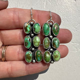 Sonoran Gold Turquoise + Sterling Silver Earrings