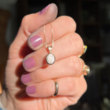 White Buffalo + 14k Gold Necklace