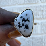 White Buffalo + 14K Gold Ring • Size 7