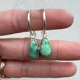 Sonoran Gold Turquoise + Sterling Silver Hoop Earrings