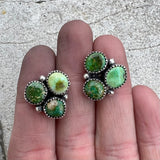 Sonoran Gold Turquoise Cluster + Sterling Silver Earrings