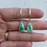 Sonoran Gold Turquoise + Sterling Silver Hoop Earrings
