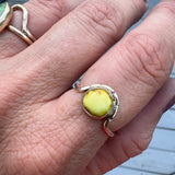 Palomino Turquoise + 14K Gold Ring • Size 7