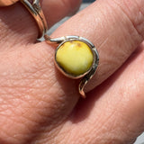 Palomino Turquoise + 14K Gold Ring • Size 7