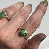 Sonoran gold Turquoise + 14K Gold Ring • Size 8.5