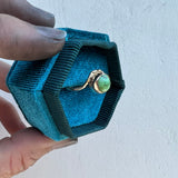 Sonoran gold Turquoise + 14K Gold Ring • Size 8.5