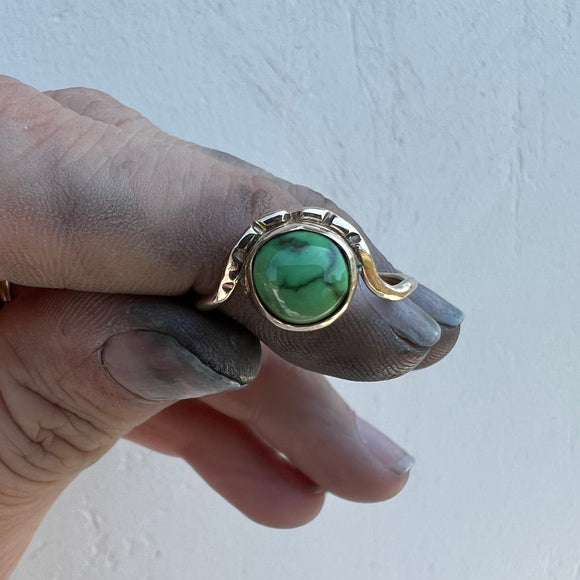 Sonoran gold Turquoise + 14K Gold Ring • Size 8.5