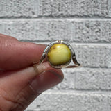 Palomino Turquoise + 14K Gold Ring • Size 7