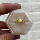 Palomino Turquoise + 14K Gold Ring • Size 7